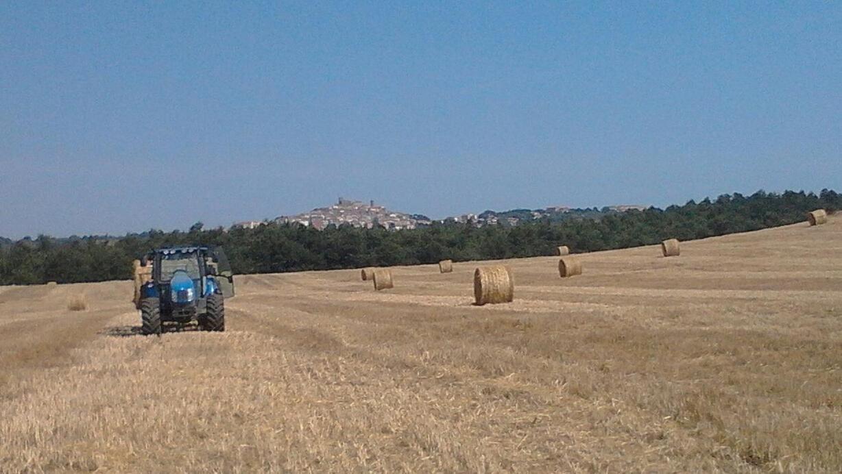 Il Laghetto Agriturismo Villa Manciano Exterior foto